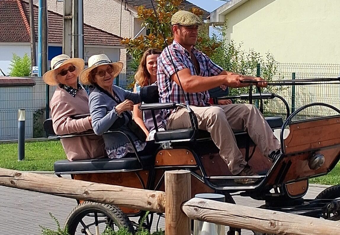 Passeio em charrete