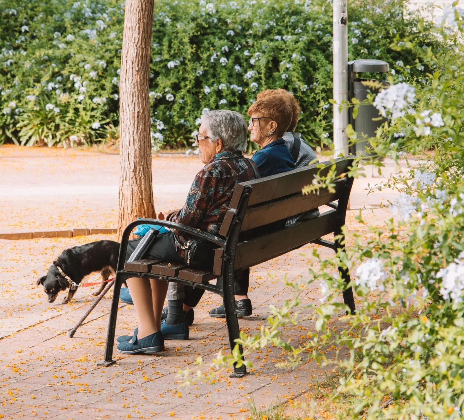 Casal de idosos sentado num banco de jardim acompanhado por um cão