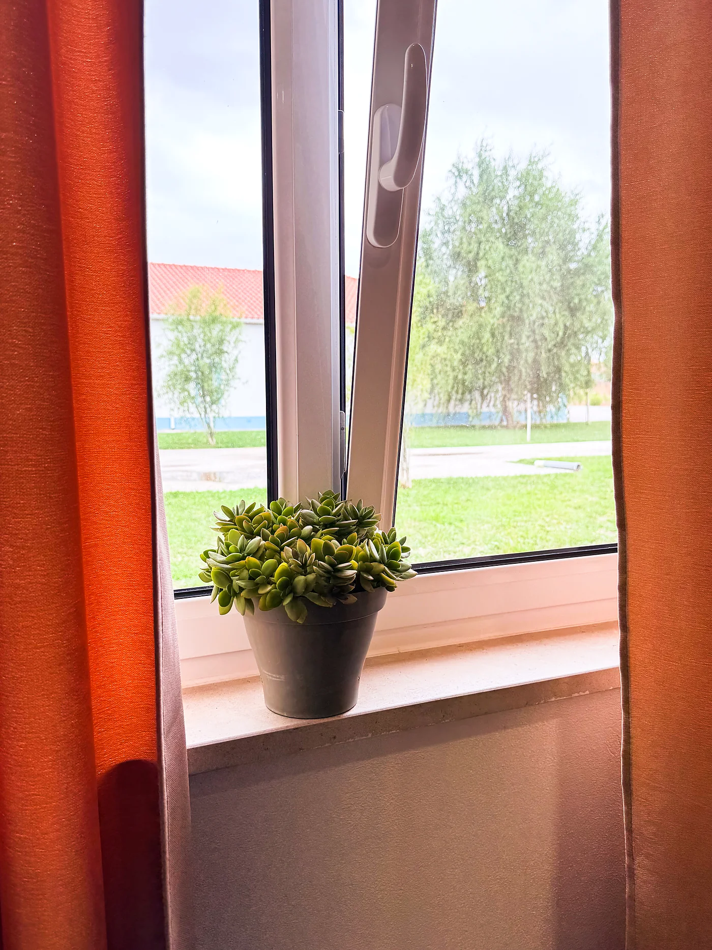 Janela de quarto com planta no parapeito e vista para o relvado da residência